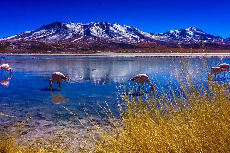 De La Paz à Atacama : Circuit de 4 jours dans les salines d&#039;Uyuni