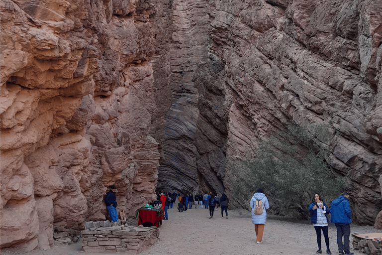 Full-day tour to Cafayate, Winery Visit and Wine Tasting