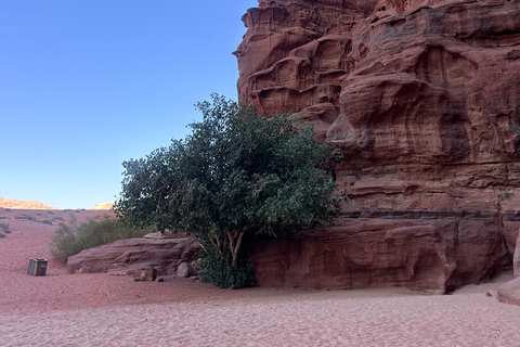 Wadi Rum Jeep Tour – Choose Duration, With or Without Stay 3-Hour Wadi Rum Jeep Tour