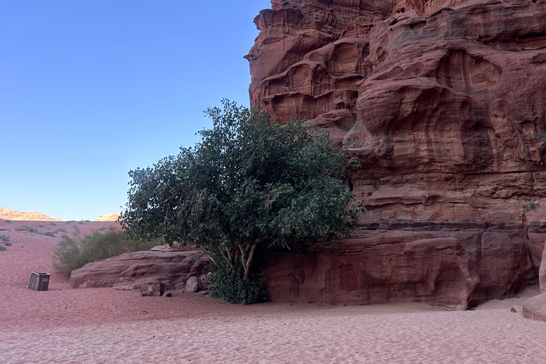 Wadi Rum Jeep Tour – Choose Duration, With or Without Stay 3-Hour Wadi Rum Jeep Tour