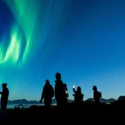 Svolvær: Nordlicht-Tour mit heißen Getränken und Fotos