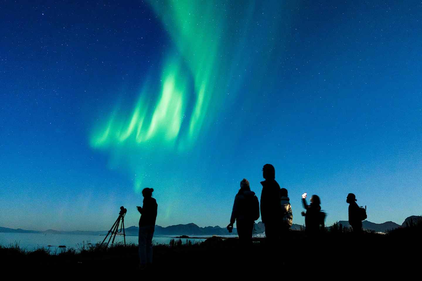 Svolvær: Northern Lights Tour with Hot Drinks & Photos