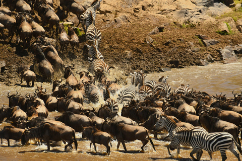 3 Days Maasai Mara Magical Experience