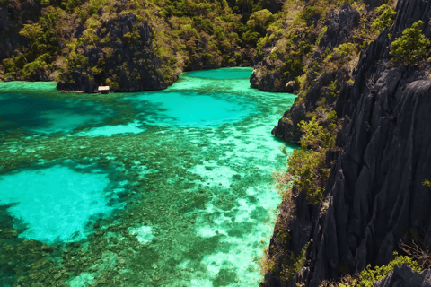 Coron Private Speedboat Tour with Exclusive Lagoon Lunch