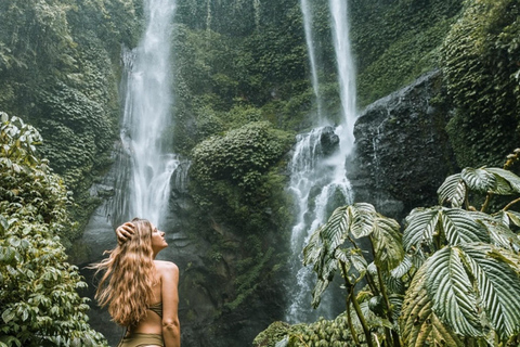 Bali: Sekumpul Waterfall With Waterslide & Rice Terrace Trek Group Tour with Hotel Transfer in South & East Bali Areas