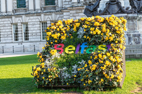 Best of Belfast: Private Walking Tour with a Local Private City Walking Tour - 2Hr