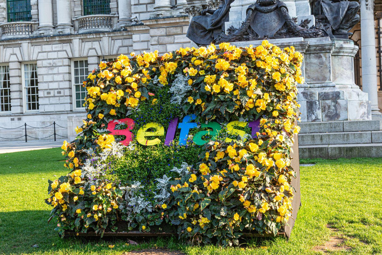 O melhor de Belfast: Excursão a pé particular com um localExcursão a pé privada pela cidade - 2Hr