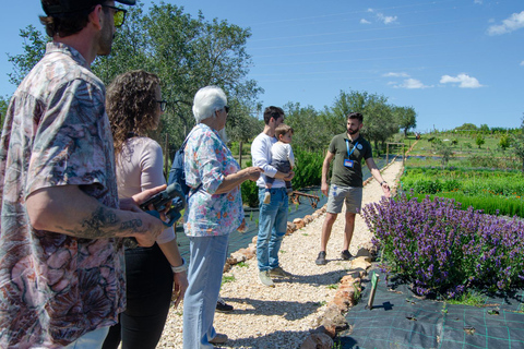 Albufeira: Algarve Traditions & Food Tasting pick up Albufeira: Algarve Traditions & Food Tasting