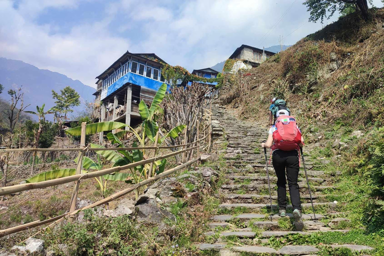 Ghorepani Poon Hill Trek - 4 Days