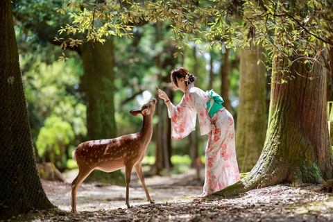 Nara: Secret Photo Tour & Deer Whisperer 3-Hour Private Photoshoot & Deer Interaction