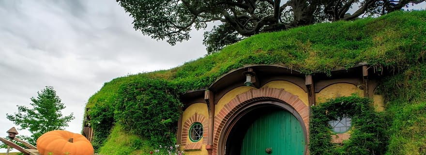 Private Hobbiton & BlueSprings & Redwood forest au départ d'Auckland