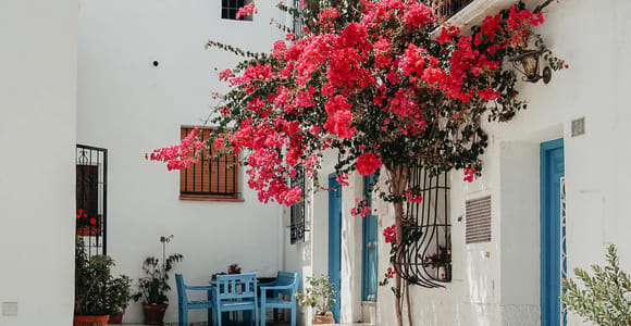 From Valencia: Altea, Guadalest and the Beach Day Trip