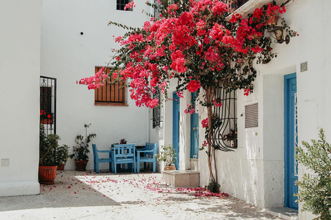 From Valencia: Altea and Portixol beach Day Trip