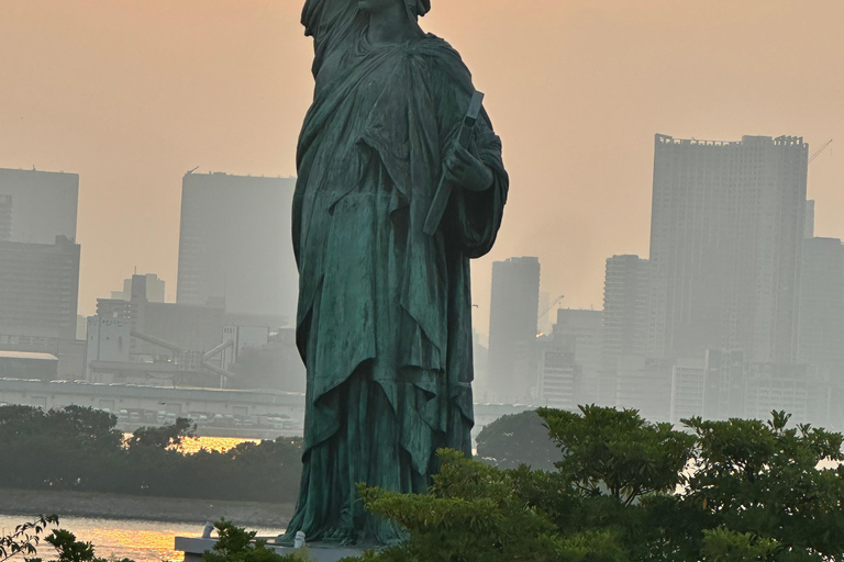 Tokyo: tour notturno privato con passaggio in hotel