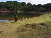 Oeste de Madeira, Bosque de Laurel, Cascada, Piscinas volcánicas de roca - Hizvo