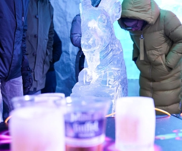 Cologne: IceBar Entry Ticket with Drinks