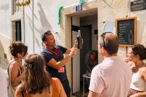 Lisbon Alfama Morning Walking Tour: Old Town & Viewpoints