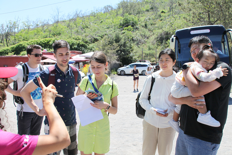 Ganztagestour_Pompeji, Herculaneum und Vesuv von Neapel aus