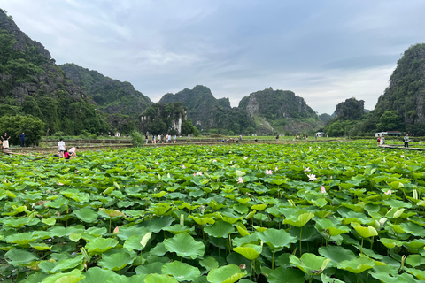 Ninh Binh: Hoa Lu, Tam Coc, Fietsen Groepstour vanuit Hanoi