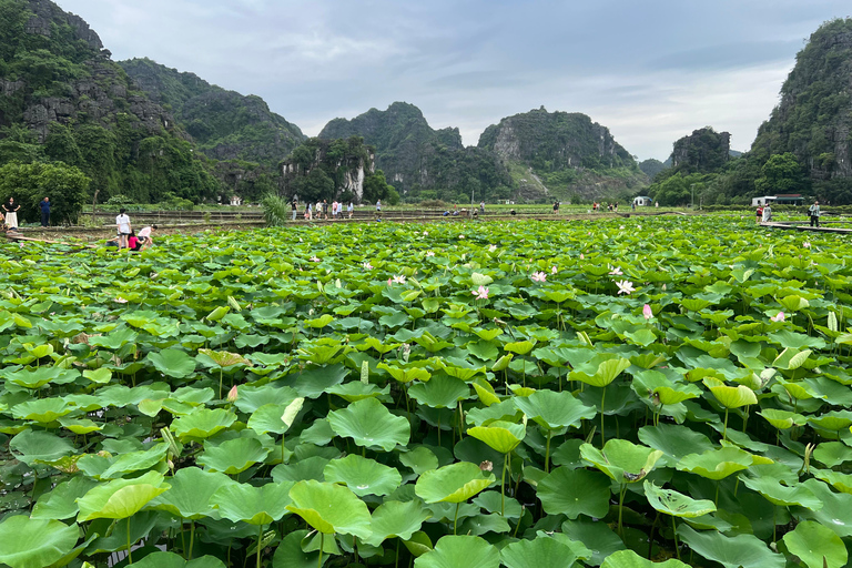 Ninh Binh: Hoa Lu, Tam Coc, Fietsen Groepstour vanuit Hanoi