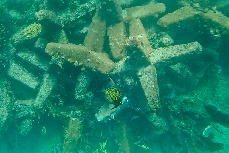 Fort Lauderdale: Ocean Reef Snorkel Tour w/ Snacks & Drinks