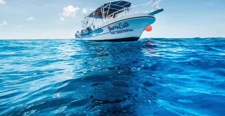 Discover Scuba Diving in Cozumel (Boat) | GetYourGuide