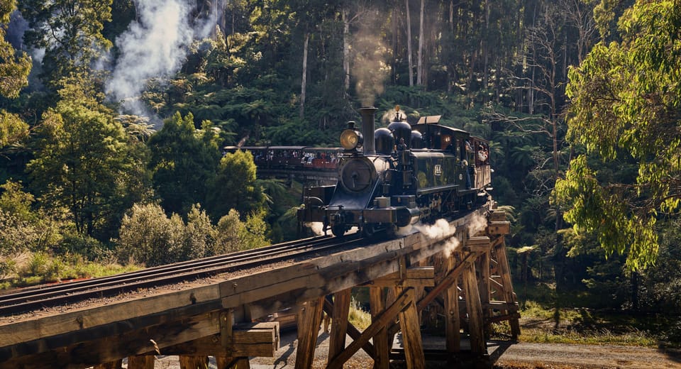 Where to spot PUFFING BILLY, Victoria - Camps Australia Wide