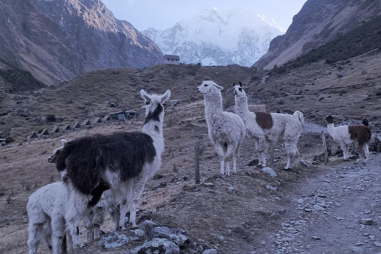 Tour du lac Humantay et tour du Machu Picchu en train