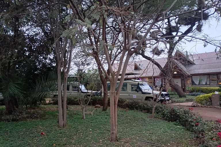 From Nairobi: Lake Nakuru & Naivasha National Park Day Tour Lake Nakuru & Naivasha