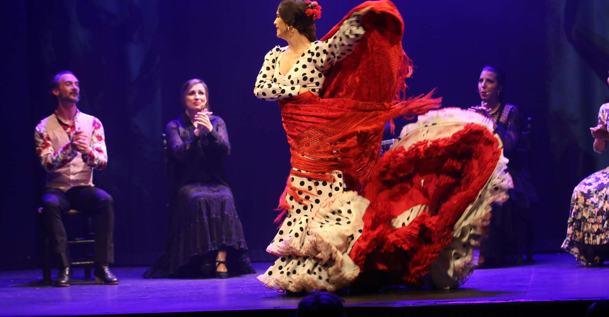 Malaga, Theatro Club Málaga Live Flamenco Show Entry Ticket - Housity