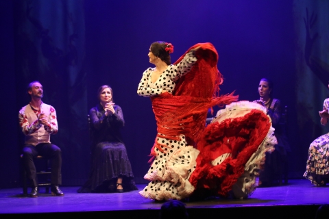 Malaga: Bilet na pokaz flamenco na żywoMalaga: Bilet na pokaz flamenco w Theatro Club Málaga