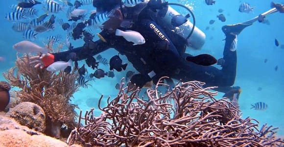 Nha Trang: Hon Mun Island Scuba Diving with Buffet Lunch