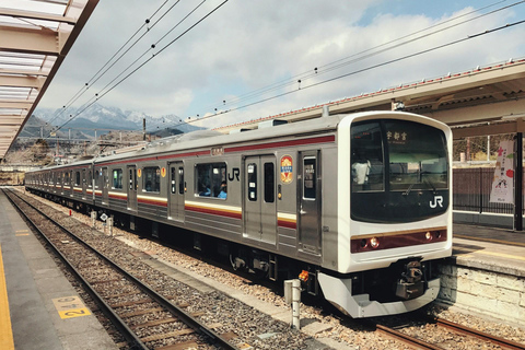 Visite touristique privée de Tokyo à Nikko avec guide anglaisDepuis Tokyo : Visite touristique privée de Nikko avec chauffeur