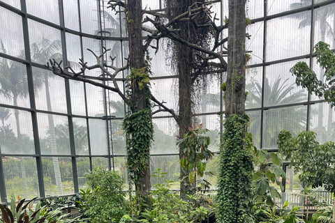 Bogotá: Botanical Garden Sightseeing Tour and Visit to the Paloquemao Market with Fruit Shared Sightseeing Tour + Tickets + Fruit