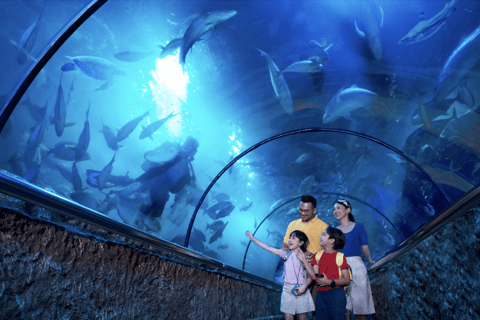 Jakarta: Sea World Ancol Entry Ticket Regular Sea World Ancol - Exclude Ancol Entrance Gate Ticket