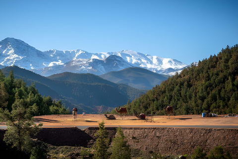 From Agadir: Atlas Mountains 4x4 Trip Valley Berber Villages