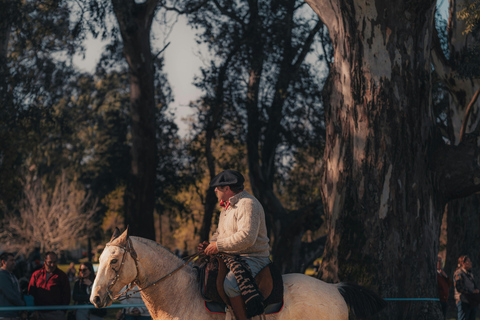 Fiji: Nature & Coast Horseback Riding Experience