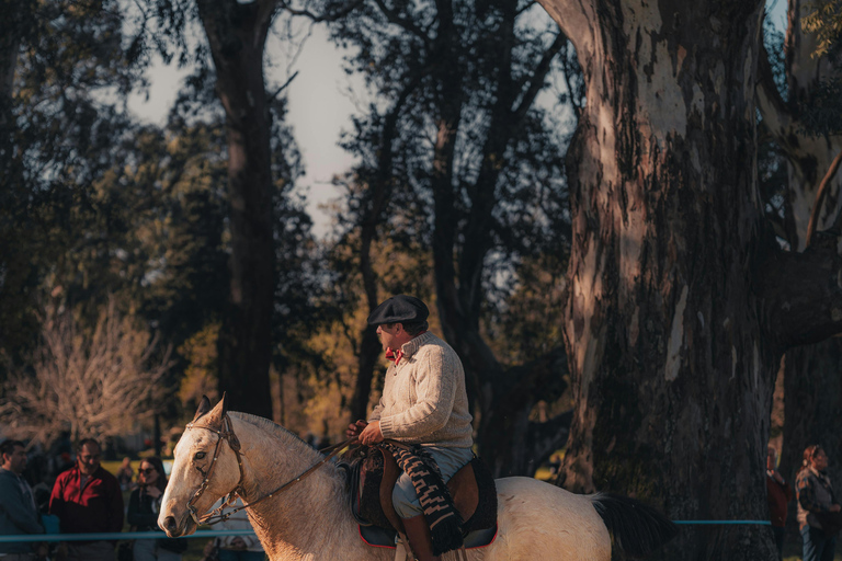 Fiji: Nature & Coast Horseback Riding Experience