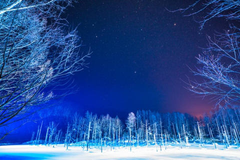 Sapporo: Asahiyama Zoo and Blue Pond Day Trip