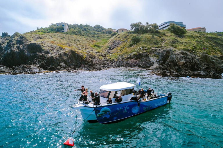 Argelès-sur-Mer: primeiro mergulho no Parque Natural Marinho