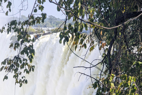 Livingstone: Victoria Falls Cross-Border Experience