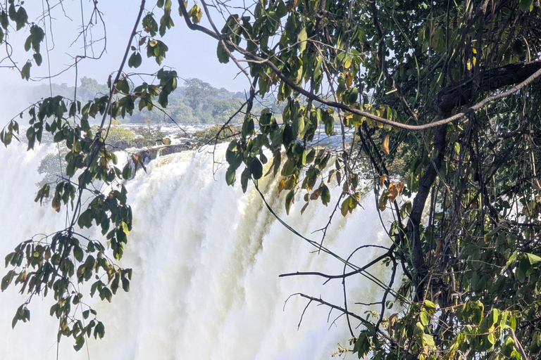 Livingstone: Victoria Falls Cross-Border Experience
