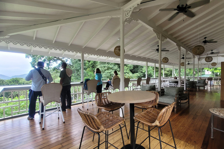 Trinidad: Experiencia en el Santuario de Aves del Centro Natural Asa Wright