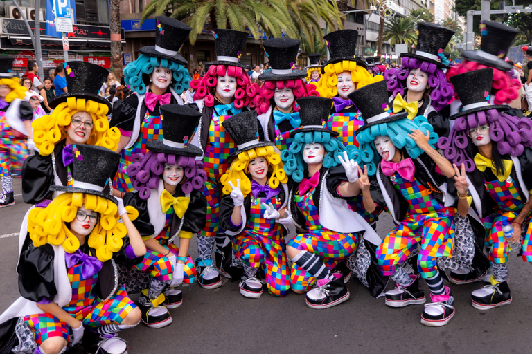 Excursion to the Santa Cruz de Tenerife Carnival Parade from Puerto de La Cruz
