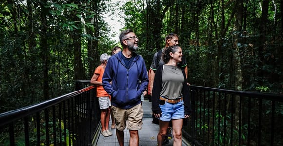Port Douglas: Afternoon Daintree Tour w/ Wildlife Cruise