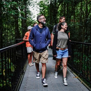 Port Douglas: Afternoon Daintree Tour w/ Wildlife Cruise