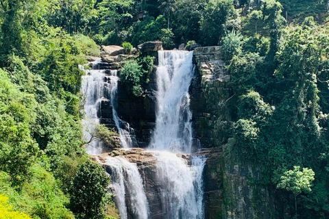 Tour di 7 giorni in Sri LankaTour di più giorni e Tour di un giorno