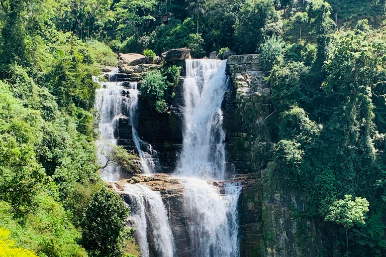 Visite multijours au Sri LankaVisites multijours et visites à la journée