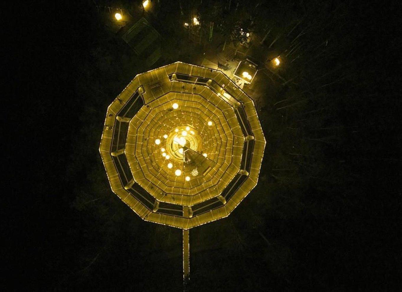 Schwarzwald: Treetop Walk & Lookout Tower Experience