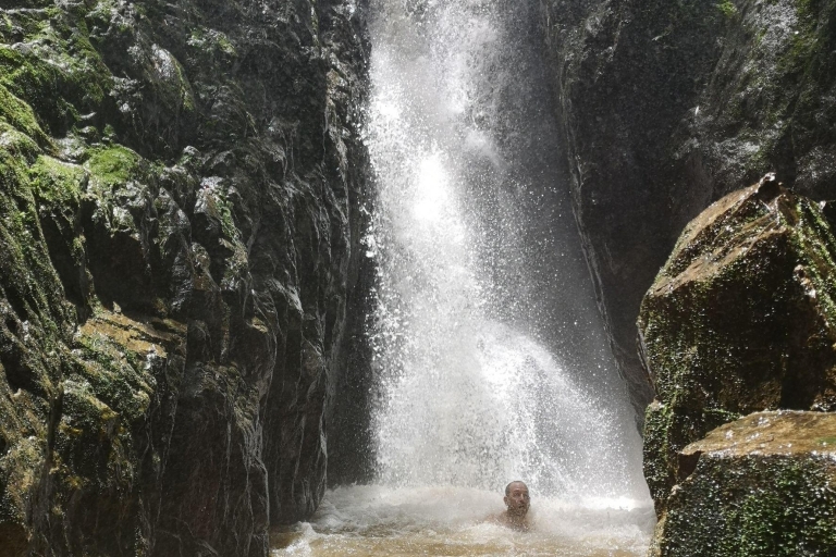 Z Phuket: Wędrówka przez las deszczowy i wodospadZ Phuket: wędrówka po lesie deszczowym i wodospadzie